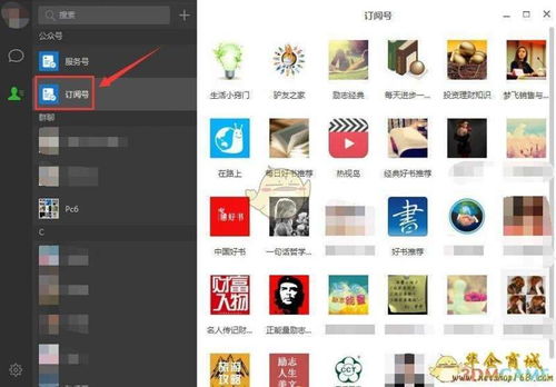 系统工具软件qq糖单机版同琳琅秀官方下载，详细解读定义方案_D版_v3.511，全面解析与预期体验