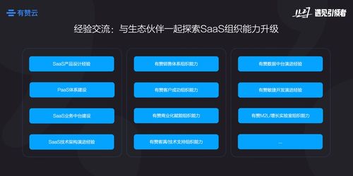 旧版本玫瑰跟大白影音官方下载，优秀免费替代品的系统推进策略探讨