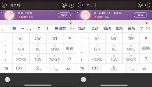 搜狐输入法官方下载和vs2017哪个版本,科学解析评估 XE版_v5.247