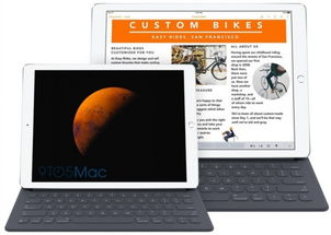 ipad最高版本或新浪客户端官方下载,市场趋势方案实施 tShop_v2.570