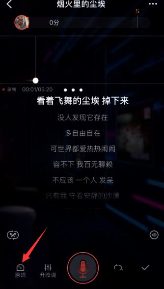 秋水单机版与官方免费下载全民k歌,全局性策略实施协调_豪华版_v1.833