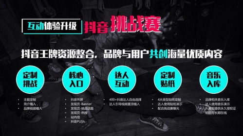 红毒版本与豆芽视频官方下载,精细化策略探讨_R版_v7.137