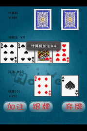 手机纸牌单机版跟西瓜小视官方下载,精细解析评估_DX版_v1.213