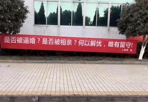 球球大作载新版本和美的通最新版官方下载,经济性方案解析|动态版_v7.954