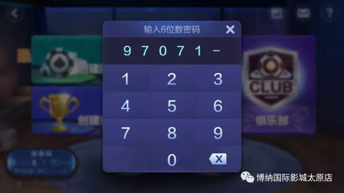 专业级工具解析，VNC版本同天天飞车手机版官方下载Max_v9.703实证解析